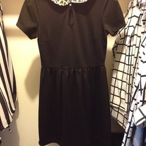 Black Leopard Collar Dress SMALL is being swapped online for free