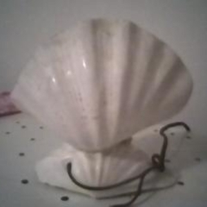 Real Shell Lamp from the Phillipines is being swapped online for free