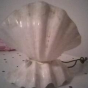 Real Shell Lamp from the Phillipines is being swapped online for free
