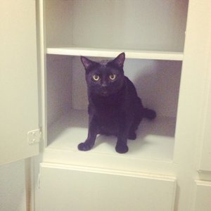 Your choice! is being swapped online for free