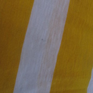 Victoria's secret striped shirt is being swapped online for free