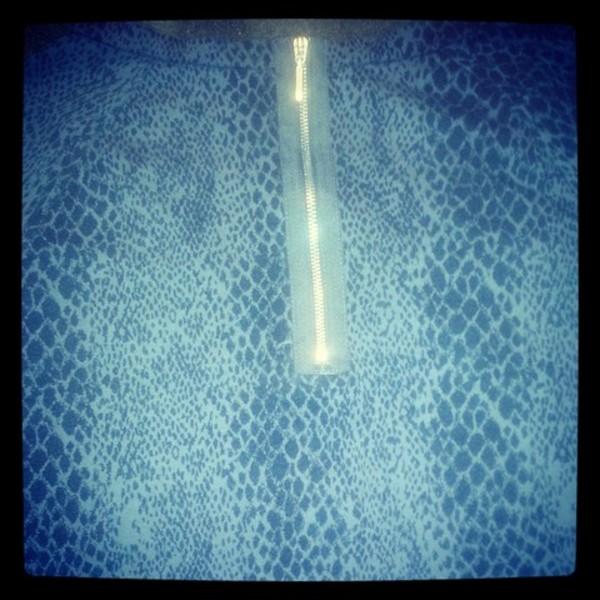 snake skin print grey l/S top xs  is being swapped online for free