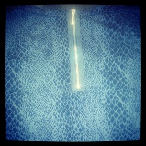 snake skin print grey l/S top xs  is being swapped online for free