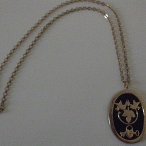 Vintage Necklace is being swapped online for free
