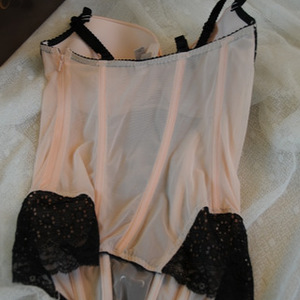 NWT Victorias Secret Bustier Corset is being swapped online for free