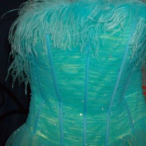 Formal Feather Dress is being swapped online for free