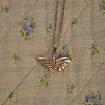 Butterfly necklace is being swapped online for free