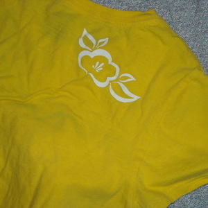 American Eagle Tee [S] is being swapped online for free