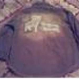 3T Quality Brown Cord Shirt is being swapped online for free