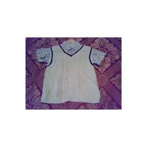 2T Adorable Plaid Shirt & Sweater Vest is being swapped online for free