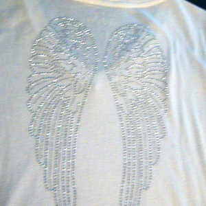 Aeropostale Angel Wings Tee is being swapped online for free