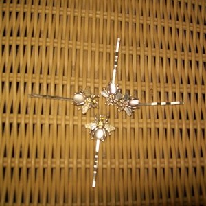 Cute Dragon Fly Clip is being swapped online for free