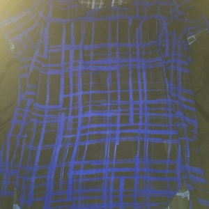 Blue and Black Plaid Top is being swapped online for free