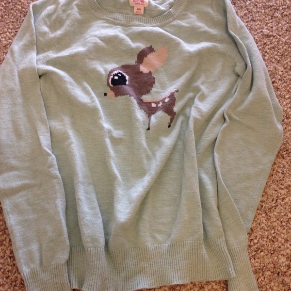 Mint cute deer sweater  is being swapped online for free