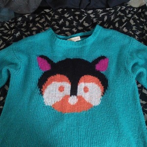 Teal Chipmunk Sweater is being swapped online for free