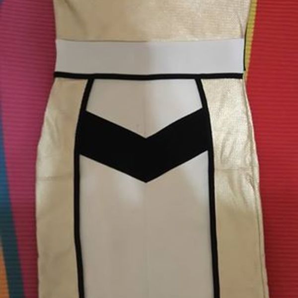 Worn Once Tight-Fit Gold/Black/White Dress is being swapped online for free