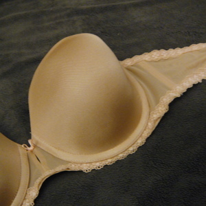 Beige Strapless Padded Bra is being swapped online for free