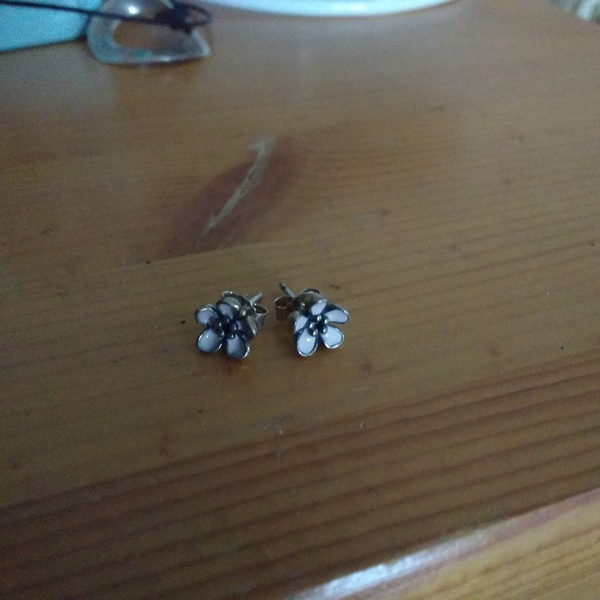 Great little flower studs is being swapped online for free