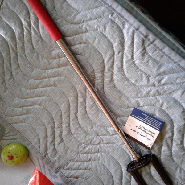 Selfie Stick  is being swapped online for free