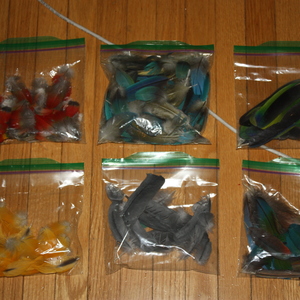 Natural cruelty free bird feathers is being swapped online for free