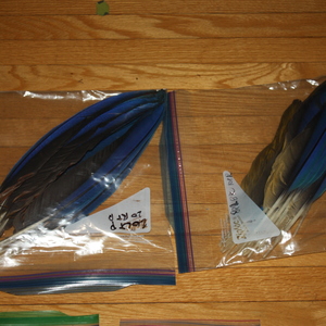 Natural cruelty free bird feathers is being swapped online for free