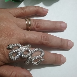 Large silver ring is being swapped online for free