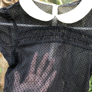 Zara Black Mesh Blouse  is being swapped online for free