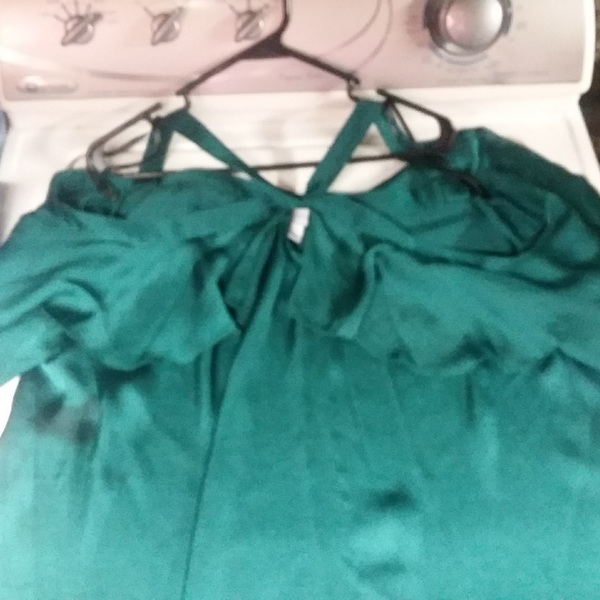 XXL green blouse brand new never worn is being swapped online for free