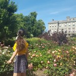 Off-the-shoulder Cute Yellow Top is being swapped online for free