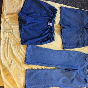 Ladies size 16 denim shorts/capris is being swapped online for free