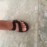 Harley Davidson sassy Sandals-Size 8M is being swapped online for free