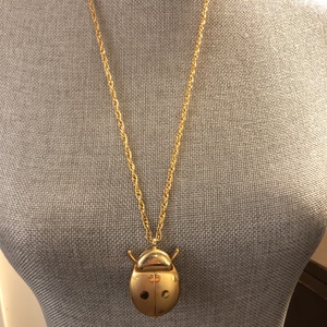 Lady Bug Locket Necklace with Clock is being swapped online for free