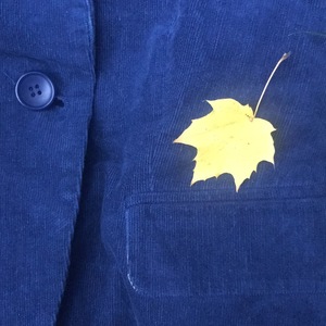 Gibson 3/4 Corduroy Blazer is being swapped online for free