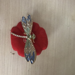 Dragonfly brooch, stunning   is being swapped online for free