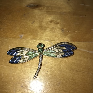 Dragonfly brooch, stunning   is being swapped online for free