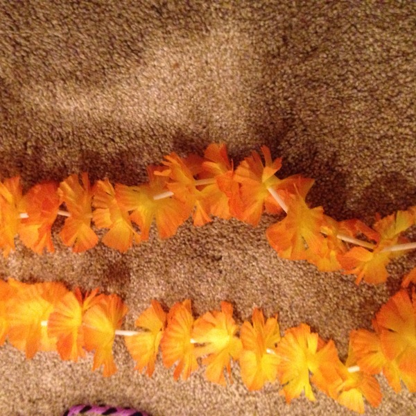 Orange Leo FLOWER NECKLACE from Florida  is being swapped online for free