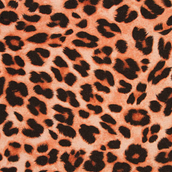 Cheetah Print Pumps Heels Leopard Print is being swapped online for free