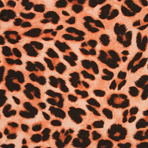 Cheetah Print Pumps Heels Leopard Print is being swapped online for free