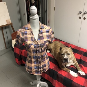 Brown plaid top size Small is being swapped online for free