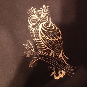 Women's large brown sweatshirt w embroidered owl. is being swapped online for free