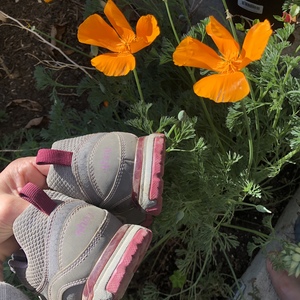 Ahnu Sugarpine waterproof hikers 8-8.5 is being swapped online for free