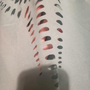 NWOT sheer blouse with cutouts- SM is being swapped online for free