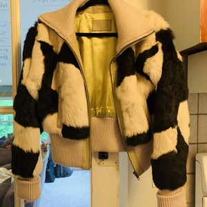 Vintage Rabbit  is being swapped online for free