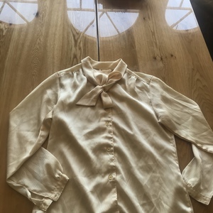 Women’s Blouse is being swapped online for free