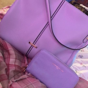 Anne Klein purse and matching wallet  is being swapped online for free