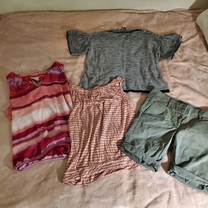 LOFT clothing  is being swapped online for free