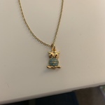 Gold and Turquoise Turquoise Owl Necklace is being swapped online for free