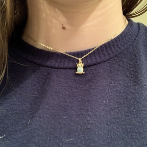 Gold and Turquoise Turquoise Owl Necklace is being swapped online for free