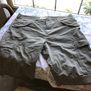 Green Cargo shorts is being swapped online for free