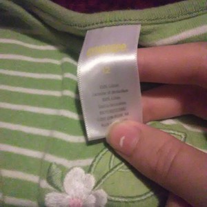 A green and white dress with a charry and a flower is being swapped online for free